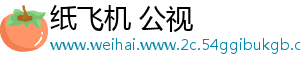 纸飞机 公视